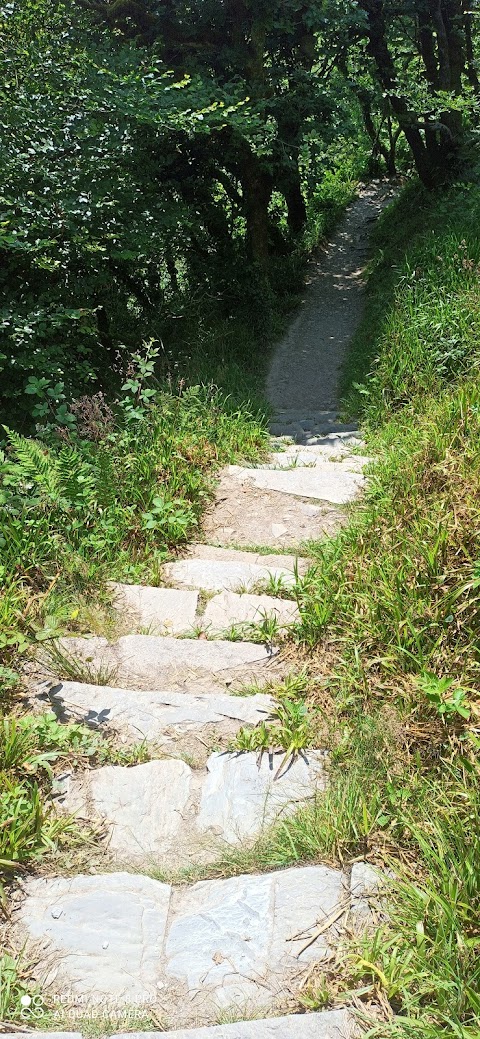 Lough Hyne