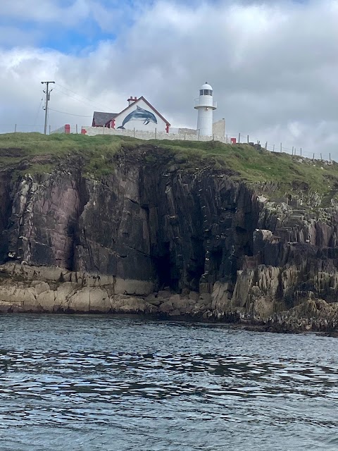 Dingle Sea Safari