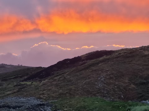 The Skibbereen Eagle