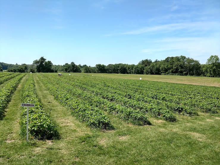 Spring Rain Farm, East Taunton, MA