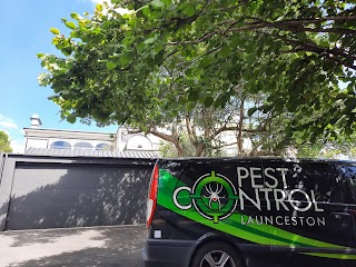 Pest Control Launceston