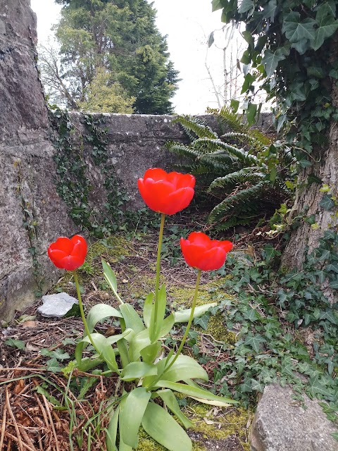 Lady's Well