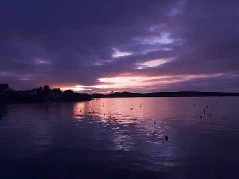 Whale Watch West Cork