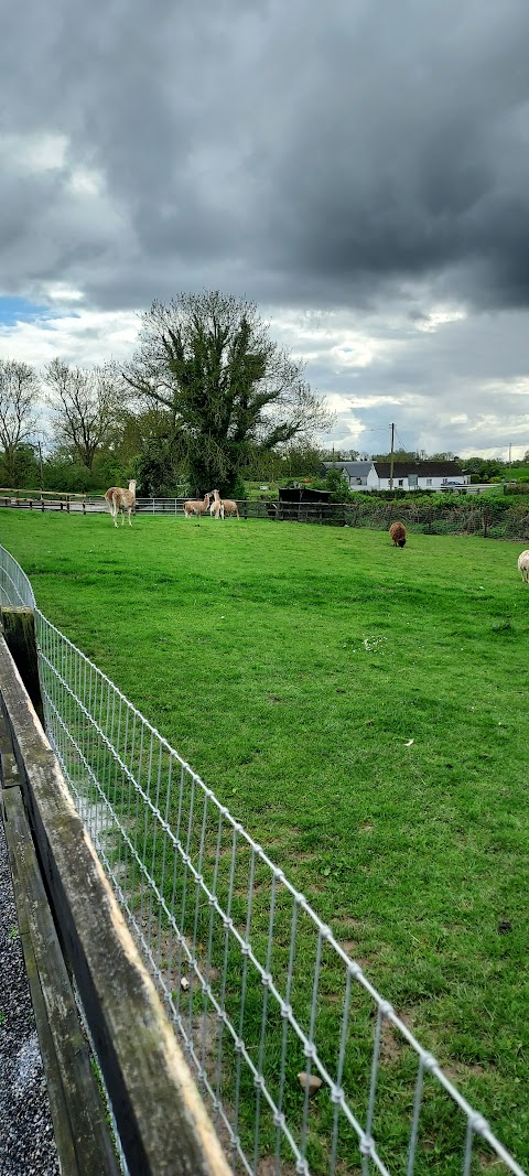 Tearaways Pet Farm & Activity Centre