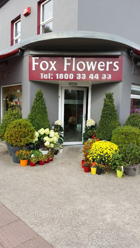 Fox Flowers