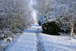 Royal Canal Walkway and Cycleway