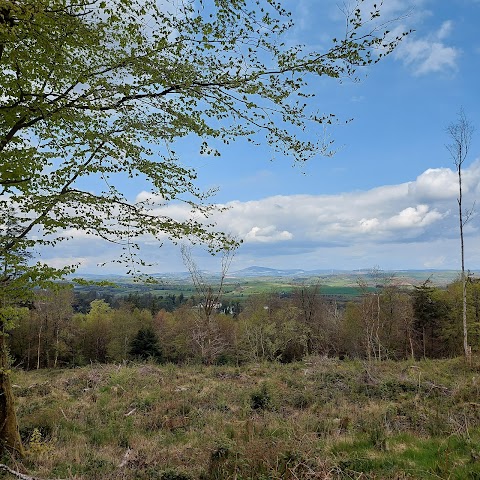 Warrenscourt Forest Recreational Area