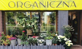 Kwiaciarnia Organiczna