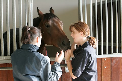 Racing Academy and Centre of Education (RACE)