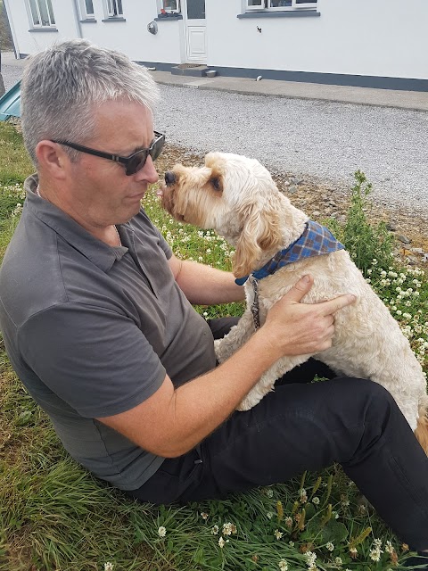 Little and large dog boarding kennels