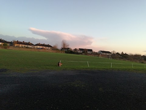 L.P.Y.M.A Sports Ground & Shelbourne AFC