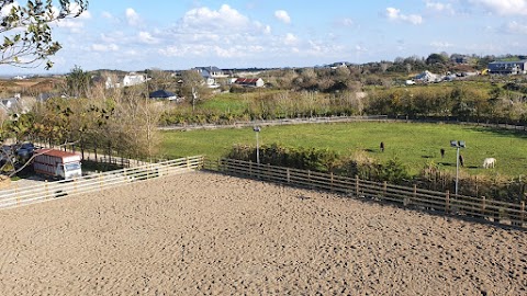 Feeneys Equestrian Centre Galway