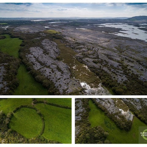 Burren Farm Experience