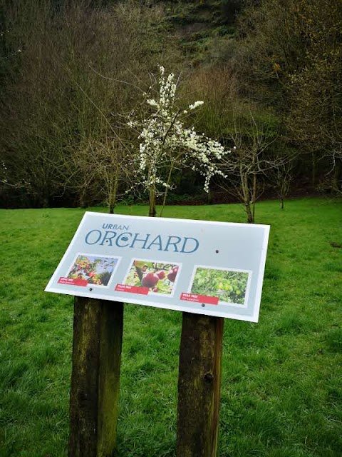 Quarry Garden