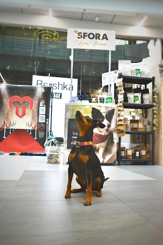 Zwierzakowe Ranczo - sklep zoologiczny - Karma dla psów SFORA