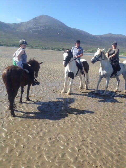 Croagh Patrick Stables