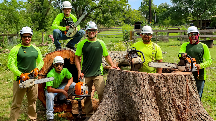 Meadows Tree Service, Katy, TX