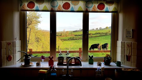 Bluebell Cottage Tipperary