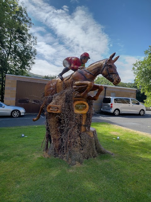 Hotel Minella Clonmel