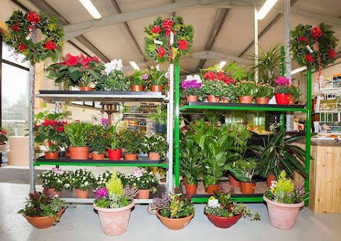 Skibbereen Garden Centre Limited