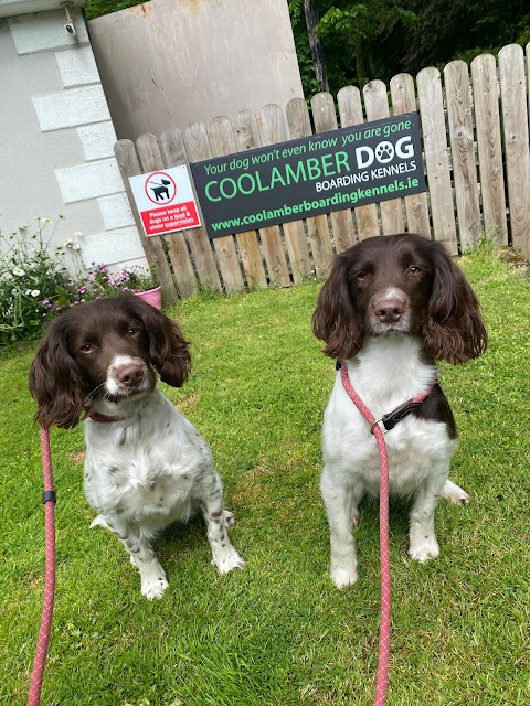 Coolamber boarding kennels