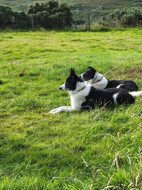 The Glen Keen Estate & Glen Keen Farm