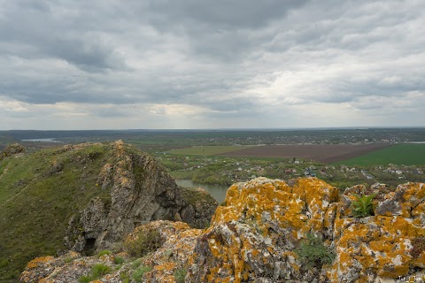 Козяча церква