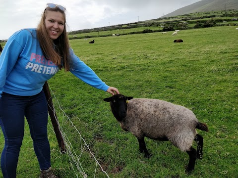 Lios Stone Circle & Animal Feeding