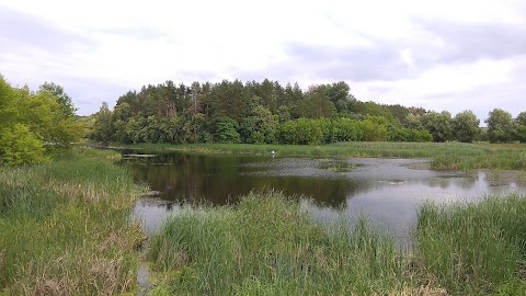 Церква Різдва Святої Богородиці