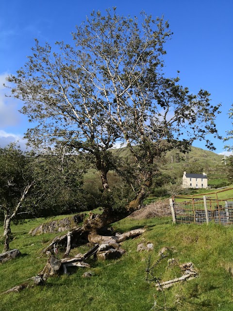 Carraig Dubh House B&B