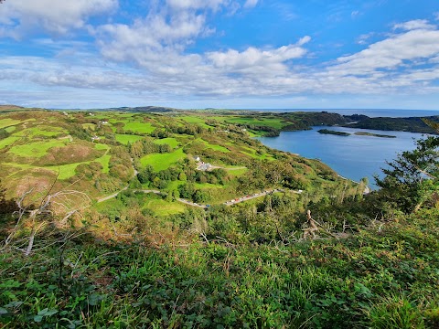 Lough Hyne Forest