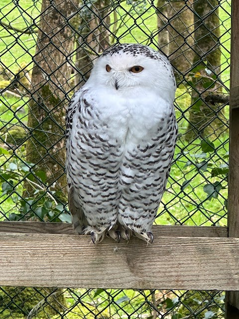 Stonehall Visitor Farm