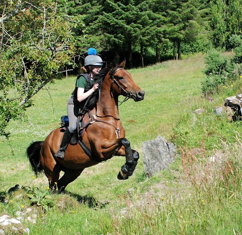 Coomanore South Equestrian Centre