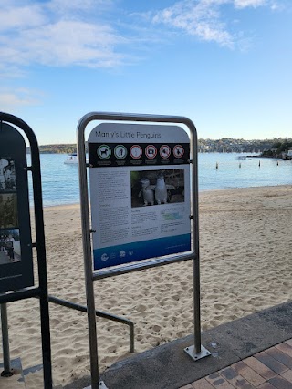 Manly Cove Tidal Pool