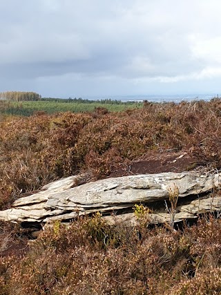 Ridge of Cappard Car Park