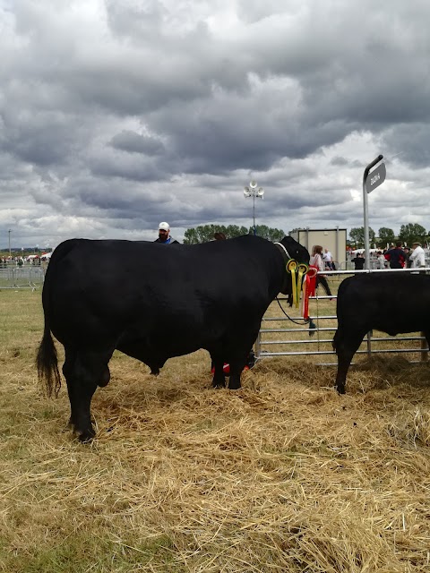 Cork Show Grounds