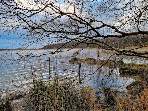 Lakeside Retreat