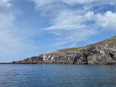 Dingle Sea Safari