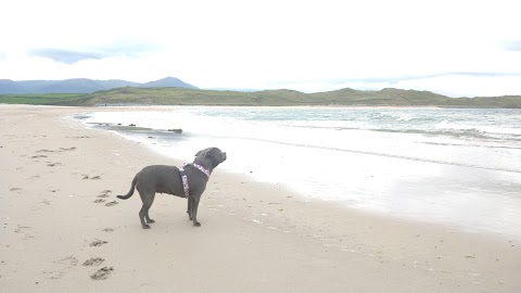 Kingdomwaves Surf School Banna Beach