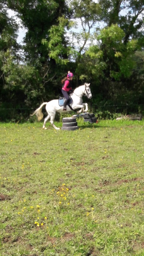 Ballyhoura Horsetrails