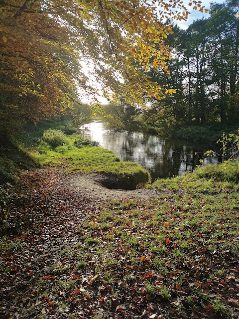 Garryhinch Forest Recreation Area