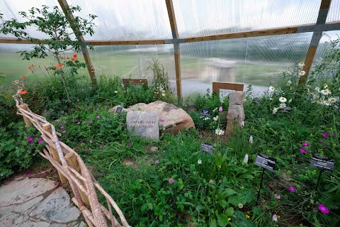 Burren Nature Sanctuary & Cafe