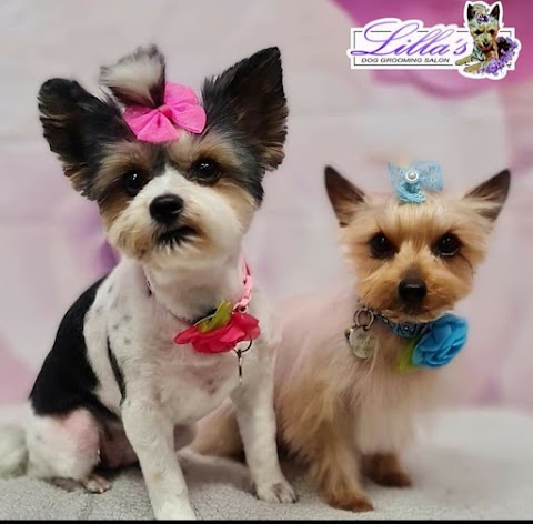 Lilla's Dog Grooming Salon