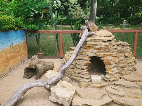 Ogród Zoobotaniczny w Toruniu