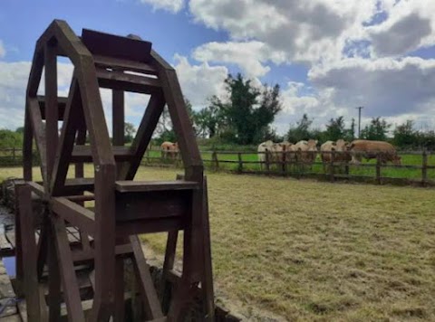 The Old Mill Kilcorkey