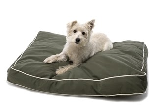 Pets Everywear Limited -Online Pet Products