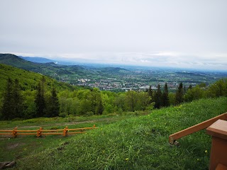 Górski Park Równica