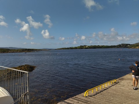 West Cork Sailing Centre / Wild Atlantic Wildlife / Kayak with the Seals