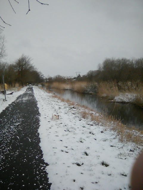 St. John's River Greenway.