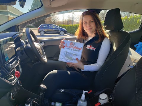 Ladybird Driving School Portarlington